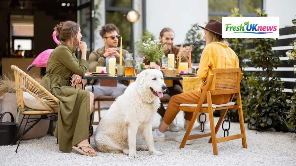 Dog Friendly Restaurants Near Me UK: The Ultimate Guide to Dining with Your Dog