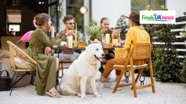 Dog Friendly Restaurants Near Me UK: The Ultimate Guide to Dining with Your Dog