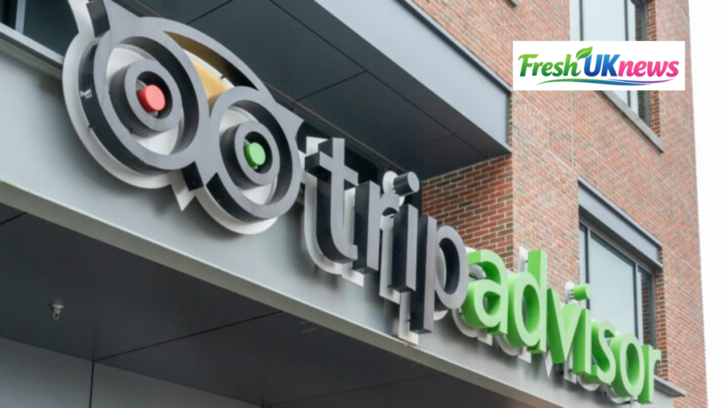 Tripadvisor Stock: Buy or Sell in 2026? Price Forecast, Analysis & Future Outlook